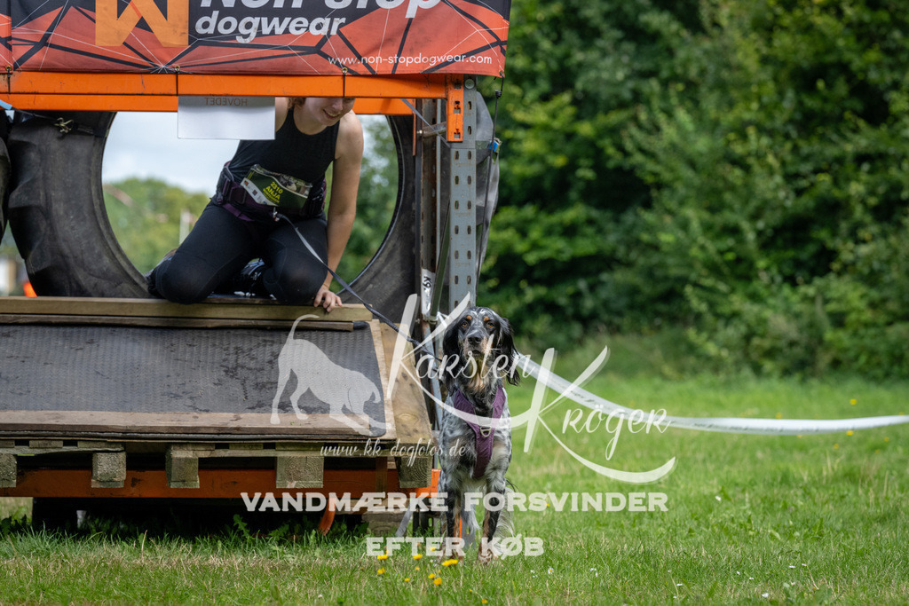 1138_ZZ92889 | kk-dogfotos