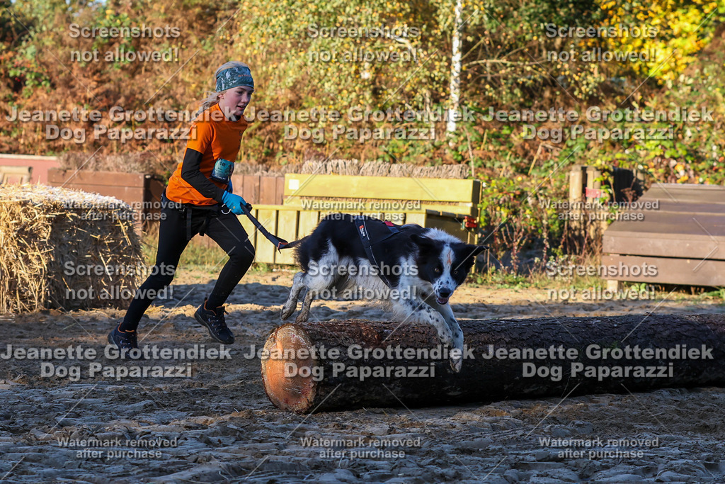 Dog Paparazzi - Strongdog 10-25-766 | Dog Paparazzi Jeanette Grottendiek Fotografie & Videografie - Realisiert mit Pictrs.com