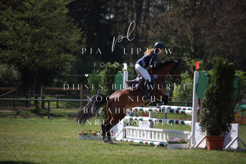 IMGT5638 | pl-fotografie