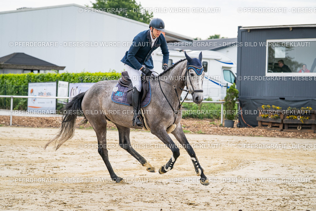 DSC09217 | Pferdegrafie