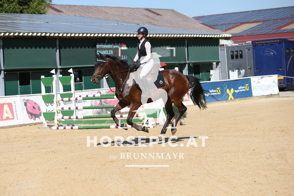 DL2Q0057 | Willkommen bei Brunnmayr - Design & Fotografie – Ihrem Spezialisten für Reitturniere und Pferdeveranstaltungen in Oberösterreich, Salzburg und Bayern! Seit über 17 Jahren sind wir leidenschaftlich dabei.
