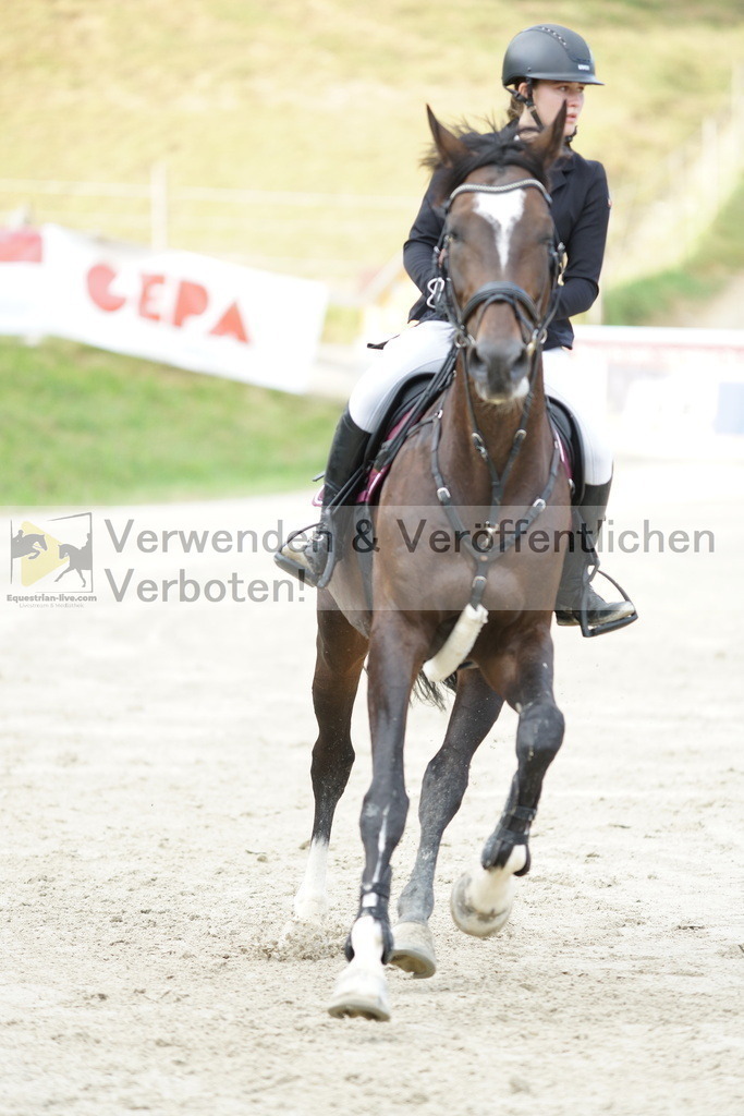 DSC01606 | equestrian-live-com