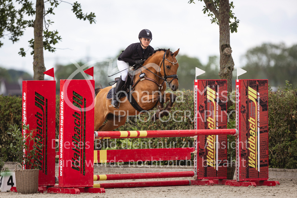 240616_Lemwerder_A2-Spr-205 | Deine schönsten Turniermomente als professionelle Fotos! Entdecke hochwertige Pferdesport-Fotografie im Online-Shop. Jetzt Fotos finden & bestellen!