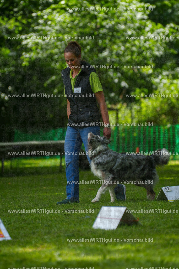 @allesWIRTHgut_Tierfotografie - www.allesWIRTHgut.de - 7R505923 | Professionelle Tierfotografie in Mönchengladbach von Daniel Wirth (allesWIRTHgut). Liebevolle & natürliche Bilder von Hunden & Katzen für unvergessliche Erinnerungen.