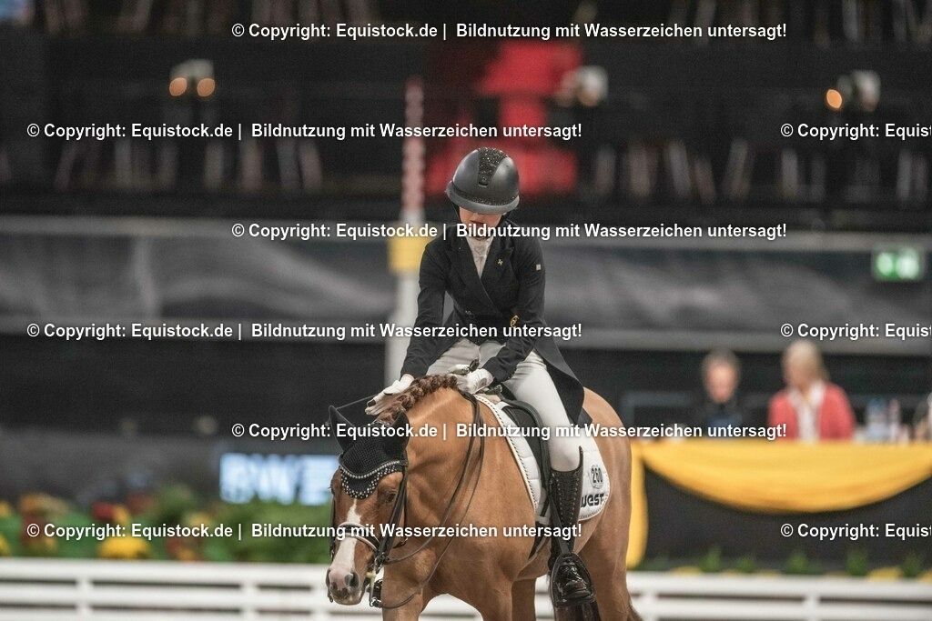20231115_20_Dressur_Kl-S++_0571_TOMsPiC | Foto: Thomas Hartig