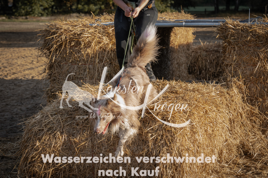 0948_ZZ94930 | kk-dogfotos