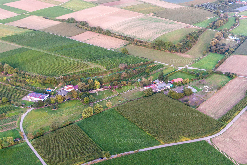 Luftbild: Wagnerranch in Herxheim bei Landau im Bundesland Rheinland-Pfalz in Deutschland. Foto: IMG_71307.jpg vom 27.08.2014 durch Werner Riehm/FLY-FOTO.de