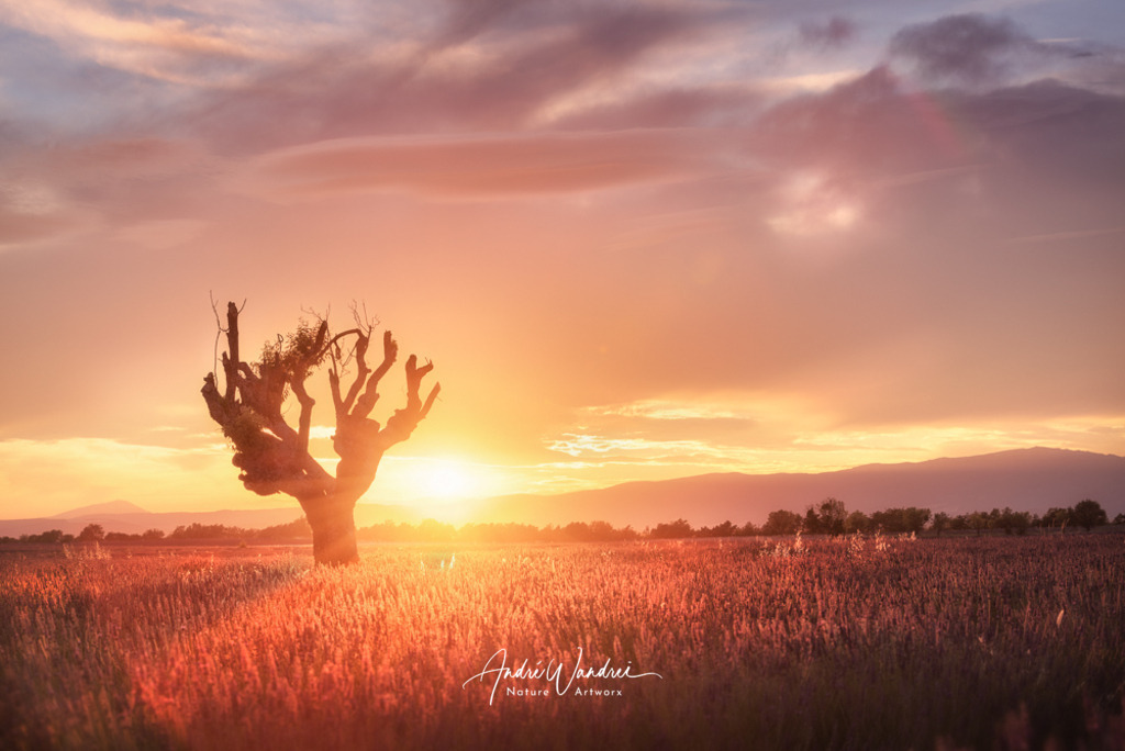 Sonnenuntergang in der Provence | Andre Wandrei - Nature Artworx - Realisiert mit Pictrs.com