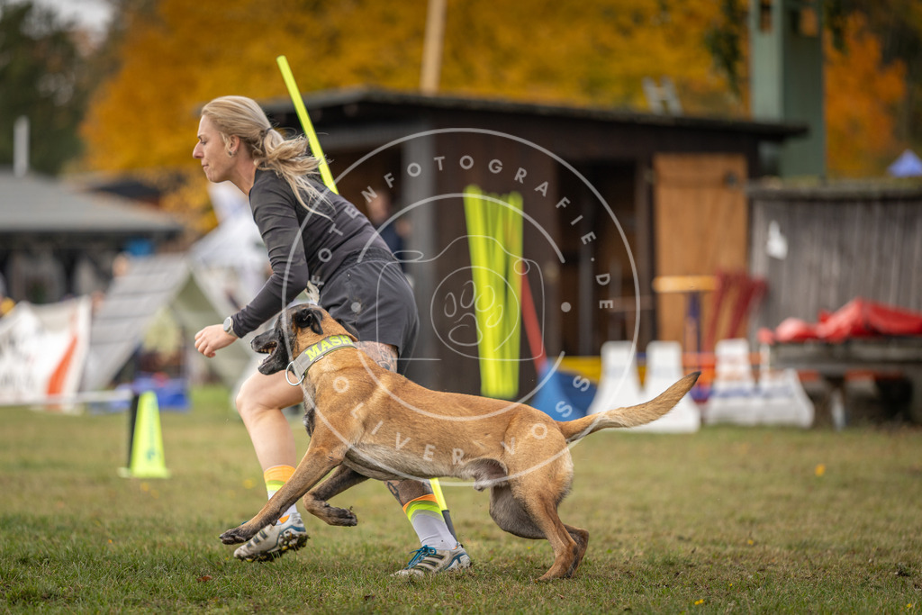 Pfotenfotografie_DV3A6765 | Hundefotografie, Tierfotograf, Pfotenfotografie, Fotoshooting Hund, Hunde Portrait, Hundesport, Hundeportraits, Heideshooting, Hunde, Sportfotograf, Hundefotograf, Turnierhundsport, THS,  - Realisiert mit Pictrs.com