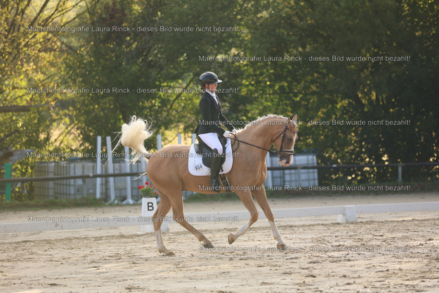 HG9A7527 | laurarinckfotografie - Realisiert mit Pictrs.com