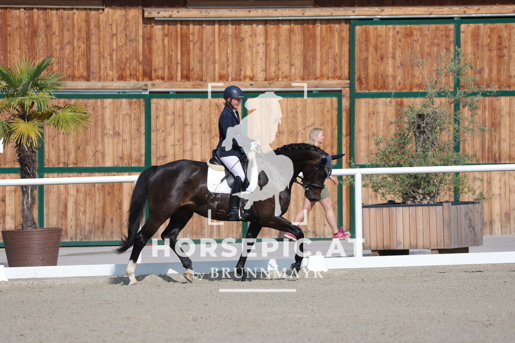 0P6A4532 | Willkommen bei Brunnmayr - Design & Fotografie – Ihrem Spezialisten für Reitturniere und Pferdeveranstaltungen in Oberösterreich, Salzburg und Bayern! Seit über 17 Jahren sind wir leidenschaftlich dabei.