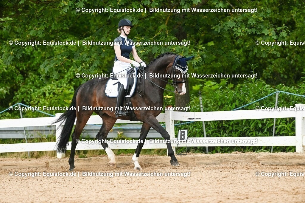 20230716_01_Dressurprüfung Kl.M_0482 | equistock