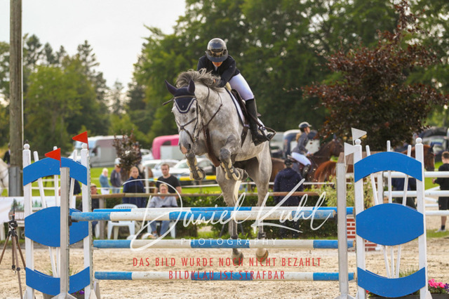 DKP43678 | Turniersportfotografie; Pferdefotografie; Dressurfotografie