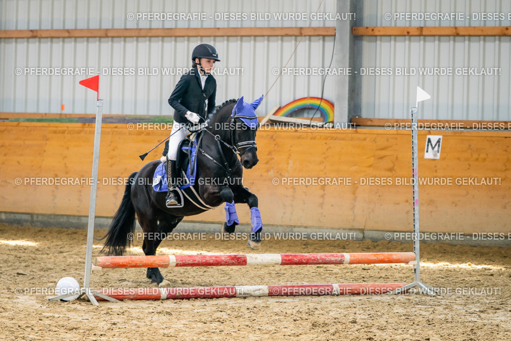 DSC02165 | Pferdegrafie