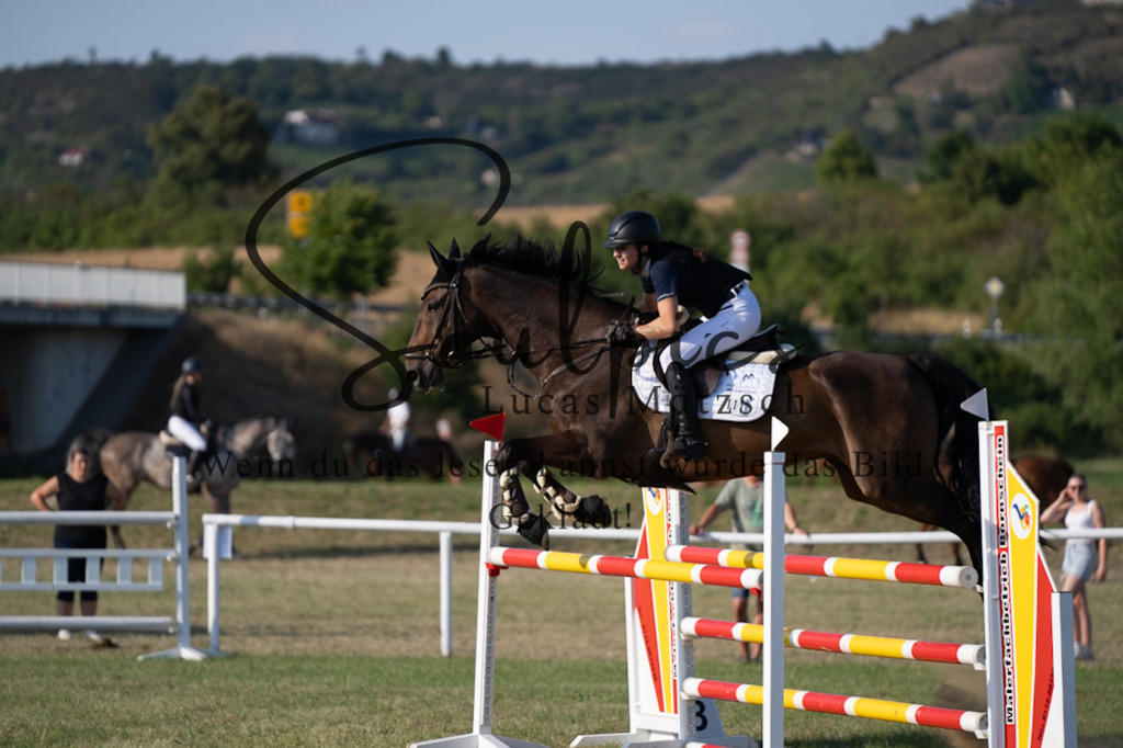 A7V00872 | Pferdefotograf