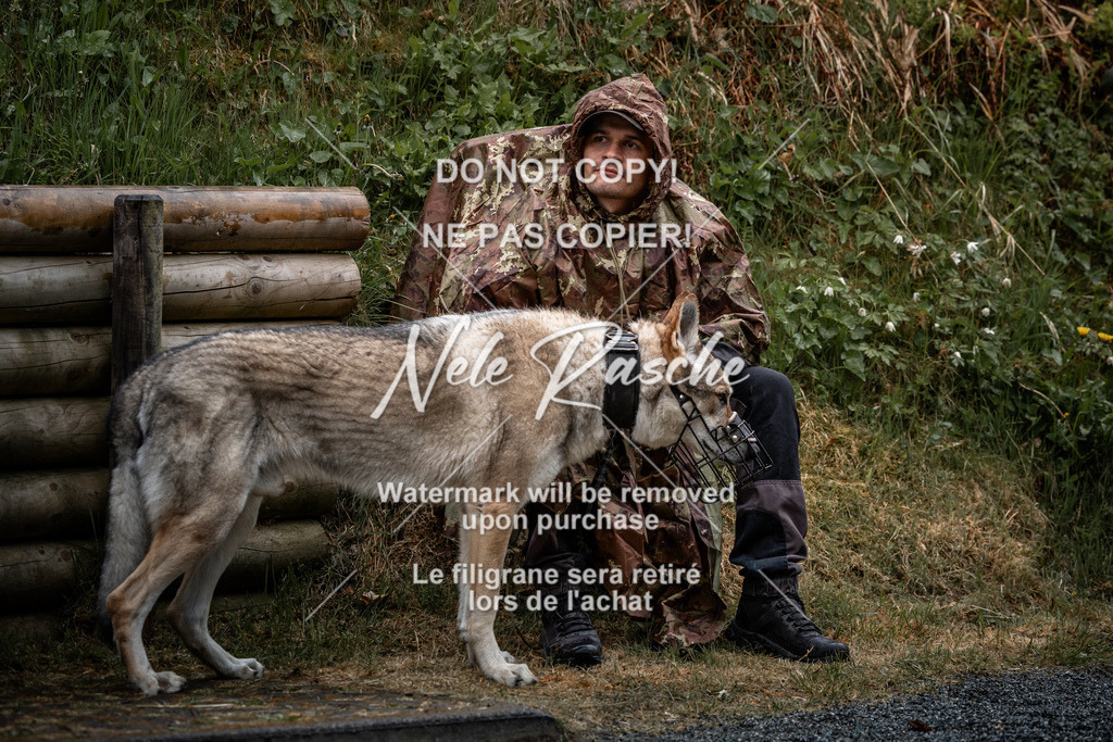 nelerasche_SaAbends_250 | nelerasche