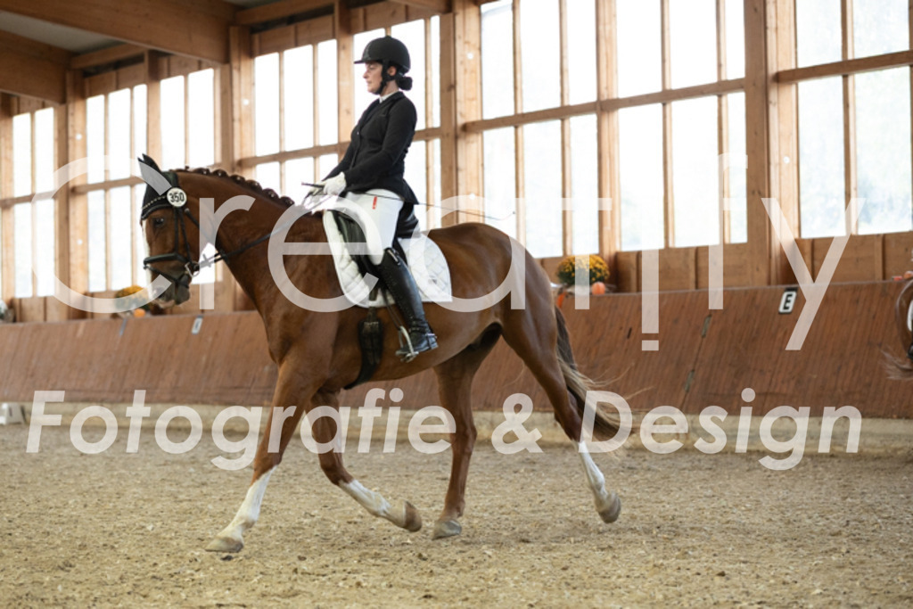 IMG_5787 | Creatify Fotografie