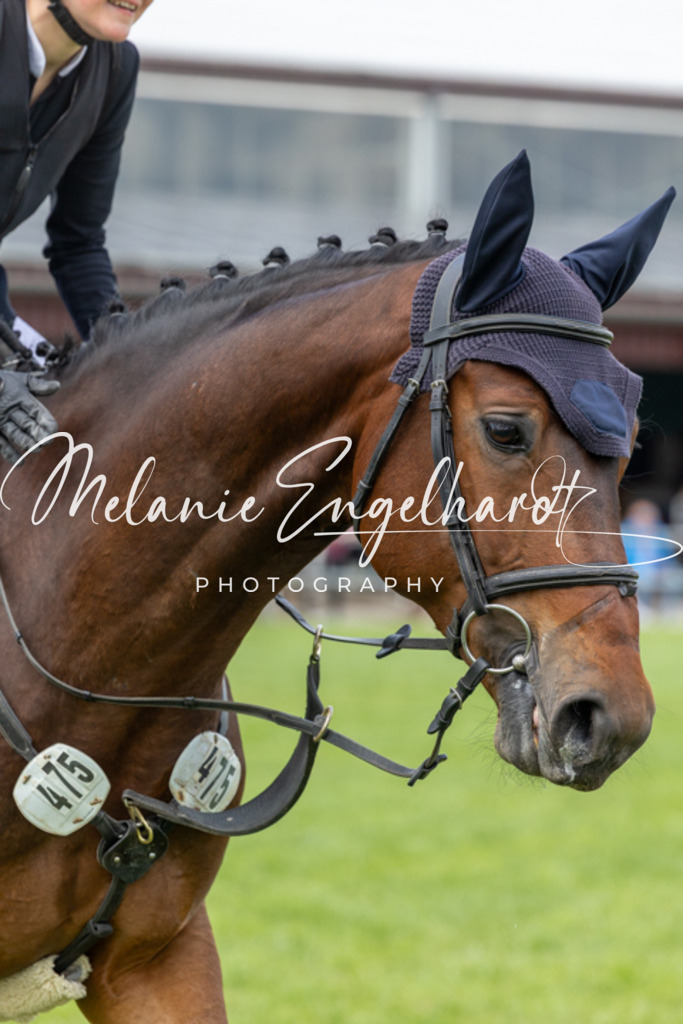 7I8A7813 | melanie-engelhardt-photography - Realisiert mit Pictrs.com
