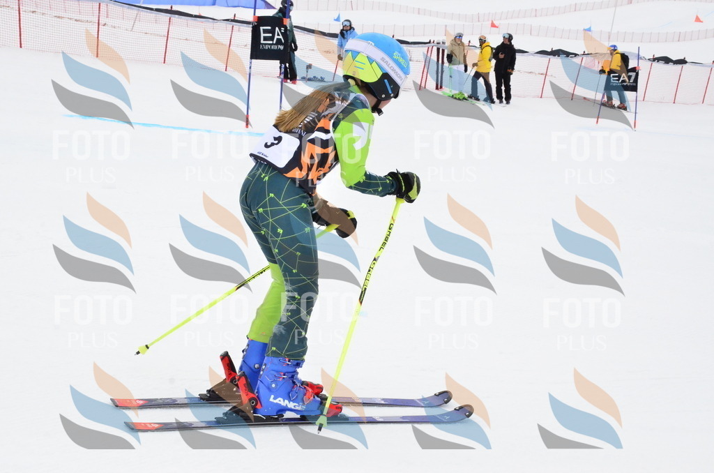 _ELE4030 | holidayphoto