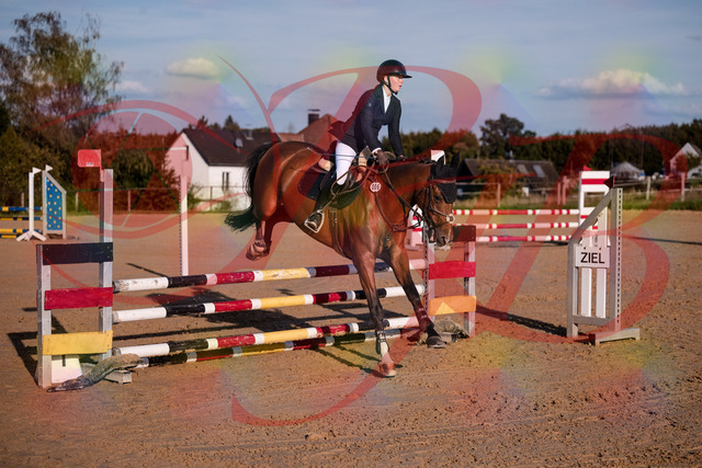 2026_10_03_Siefer-Hof_170837_Z81_05057644 | Professionelle Reitsport-, Turnier- und Eventfotografie von Robert Broda. Galerien mit ausgewählten und bearbeiteten Bildern direkt online ansehen und bestellen.