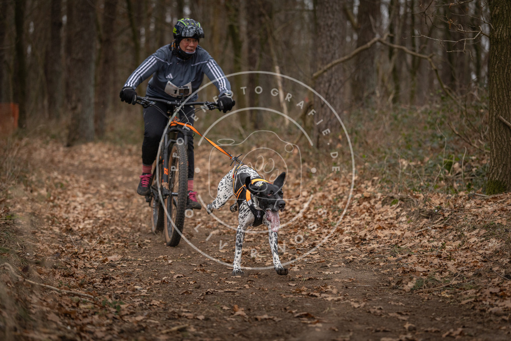 Pfotenfotografie_DV3A7023 | Hundefotografie, Tierfotograf, Pfotenfotografie, Fotoshooting Hund, Hunde Portrait, Hundesport, Hundeportraits, Heideshooting, Hunde, Sportfotograf, Hundefotograf, Turnierhundsport, THS,  - Realisiert mit Pictrs.com