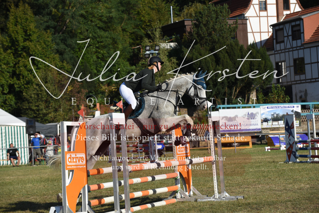 DSC_5205 | Pferde- und Turnierfotografie in Westsachsen. Pferdeportraits, Auftragszeichnungen und intuitive Kunst.