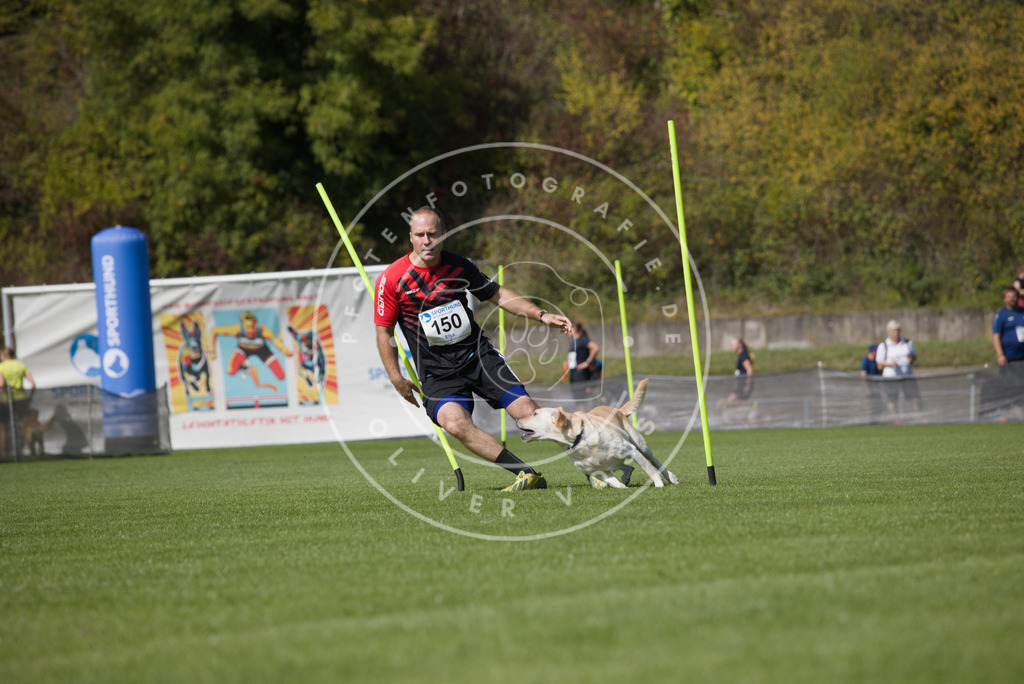 0L8A3145 | Hundefotografie, Tierfotograf, Pfotenfotografie, Fotoshooting Hund, Hunde Portrait, Hundesport, Hundeportraits, Heideshooting, Hunde, Sportfotograf, Hundefotograf, Turnierhundsport, THS,  - Realisiert mit Pictrs.com