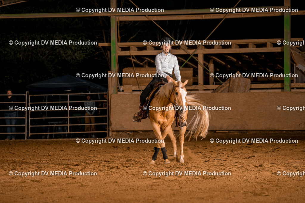 BA301466 | dv-media-shop - Realisiert mit Pictrs.com