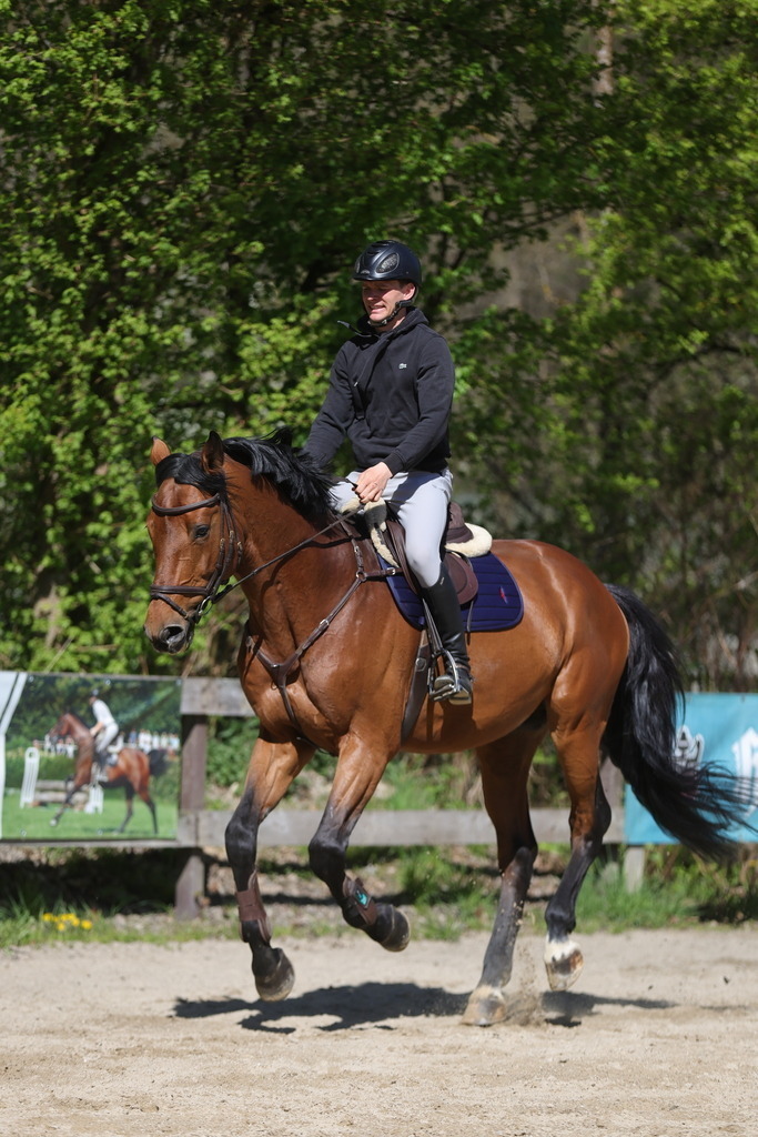 0P6A8113 | Willkommen bei Brunnmayr - Design & Fotografie – Ihrem Spezialisten für Reitturniere und Pferdeveranstaltungen in Oberösterreich, Salzburg und Bayern! Seit über 17 Jahren sind wir leidenschaftlich dabei.