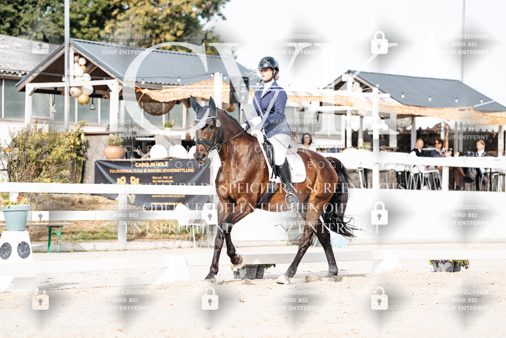 CK905078 | Turnierfotografie Pferdefotografie Trier Rheinland-Pfalz Pferdesport Reitsport Tierfotografie Sportfotografie Pferdevideo Pferdevideografie Equestrianvideography equestrianphotography  - Realisiert mit Pictrs.com