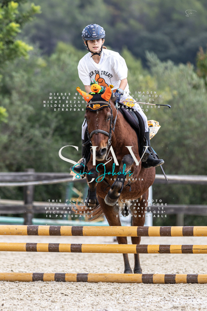 IMG_2353 | s-jay-photography - Realisiert mit Pictrs.com