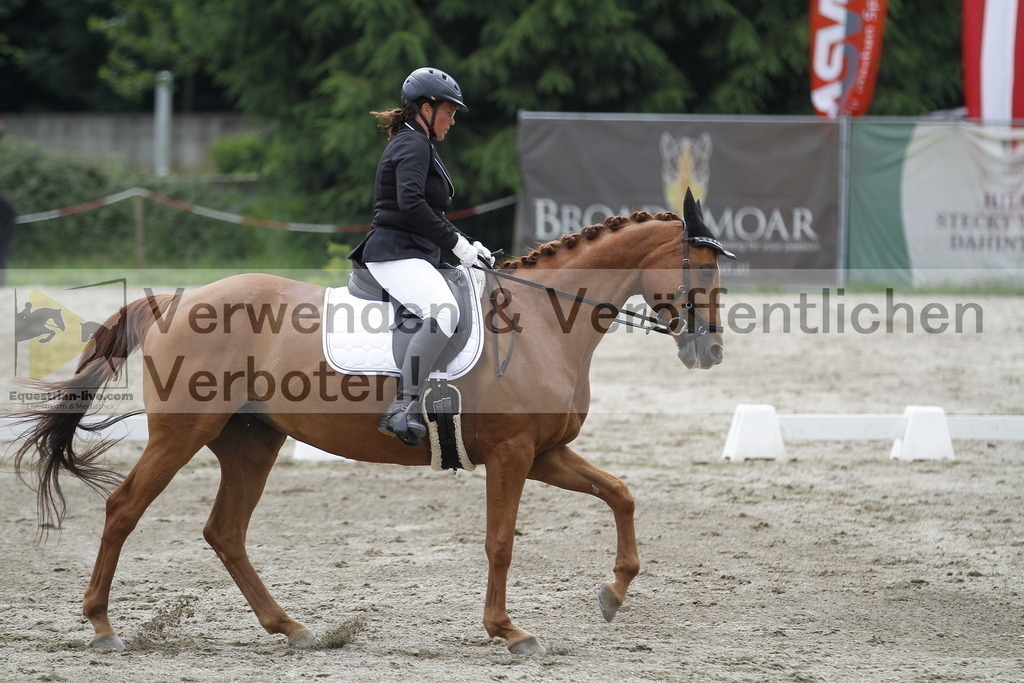 _MG_1750 | equestrian-live-com