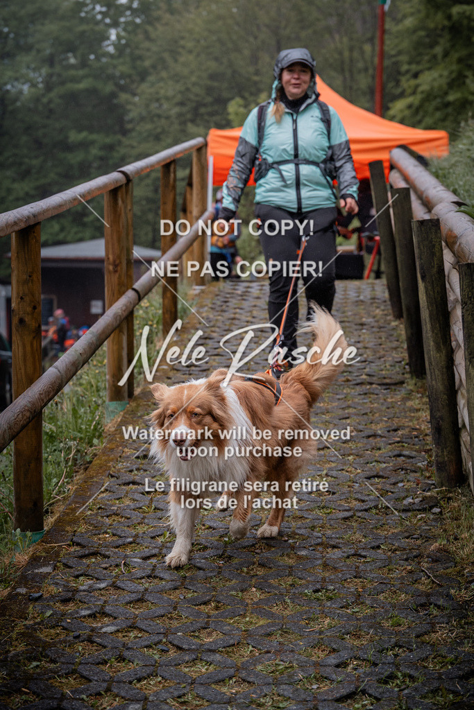 nelerasche_SoAuszug_133 | nelerasche