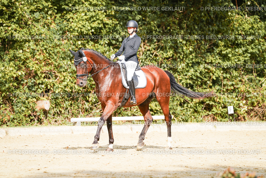 DSC02180 | Pferdegrafie