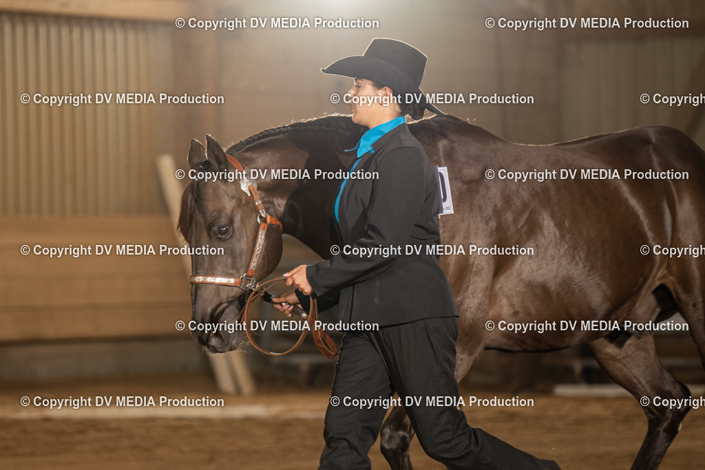 NID02462 | dv-media-shop - Realisiert mit Pictrs.com