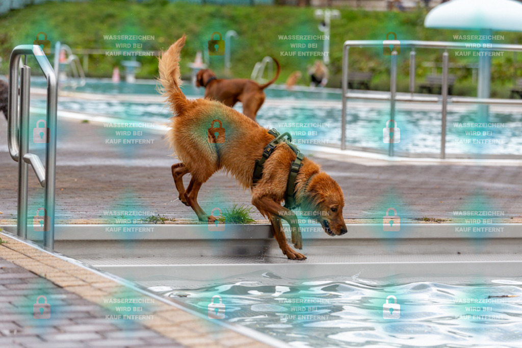 _HP_6198_1000o | HetPix, HetPix Fotodesign, Fotografie, Fotodesign, Webshop, Sportfotografie, Portraitfotografie, Onlineshop, Sportfotografie, Polch, Motorsportfotografie, Eventfotografie