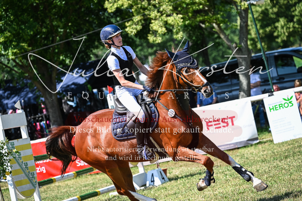 DSC_1171 | Pferde- und Turnierfotografie in Westsachsen. Pferdeportraits, Auftragszeichnungen und intuitive Kunst.