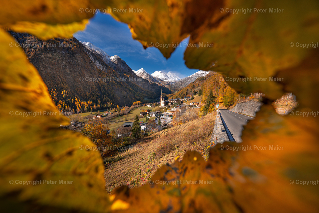 Heiligenblut_Herbst_2023-205 | piet_flosse