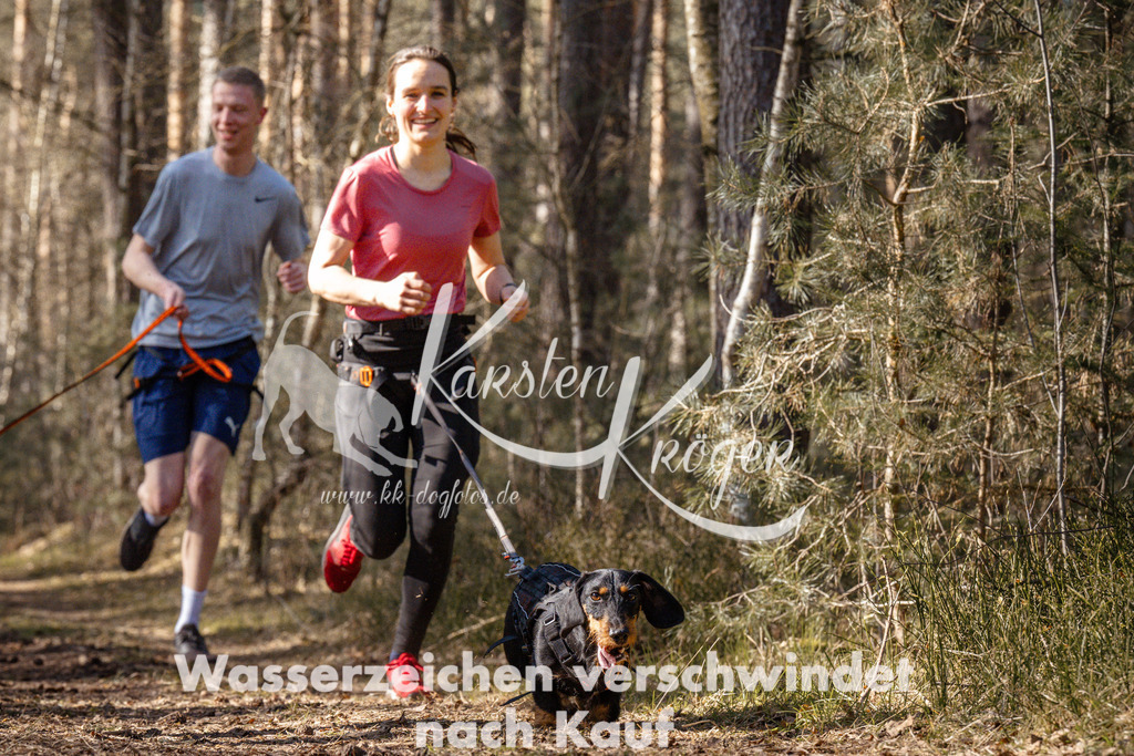 1411_ZZ94812 | kk-dogfotos