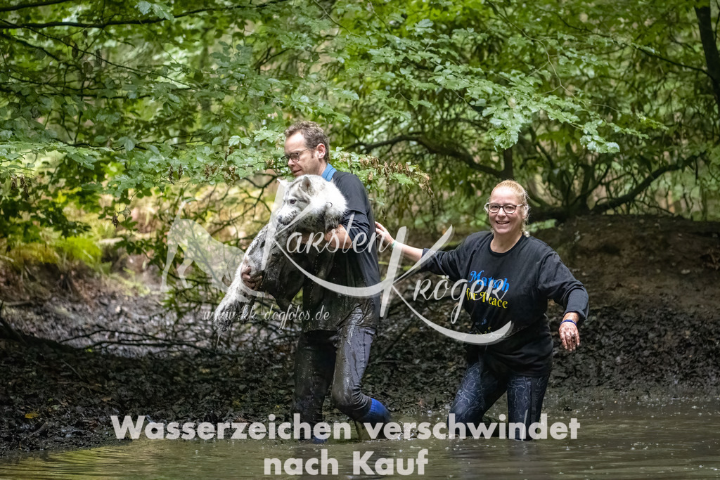 1152_ZZ90059-Bearbeitet-2 | kk-dogfotos