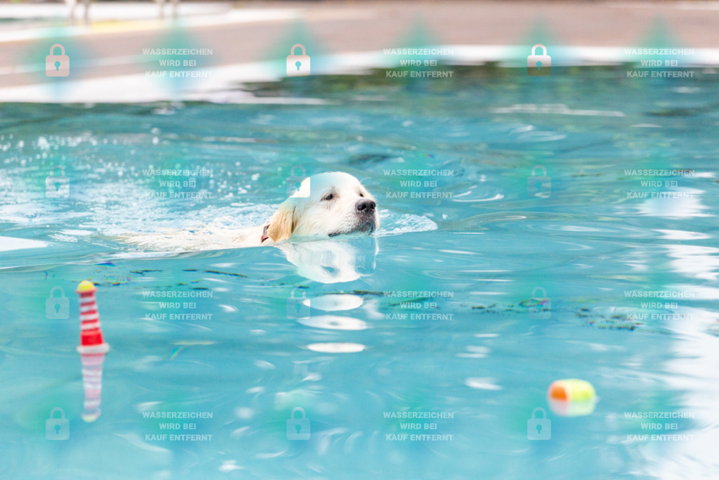 _HP_7201_1000o | HetPix, HetPix Fotodesign, Fotografie, Fotodesign, Webshop, Sportfotografie, Portraitfotografie, Onlineshop, Sportfotografie, Polch, Motorsportfotografie, Eventfotografie