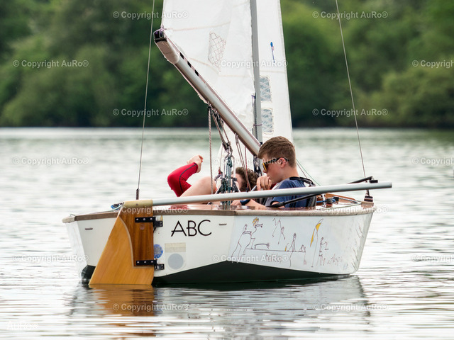 P1764349-Bearbeitet-DeNoiseAI-raw | AuRo® Services - Realisiert mit Pictrs.com