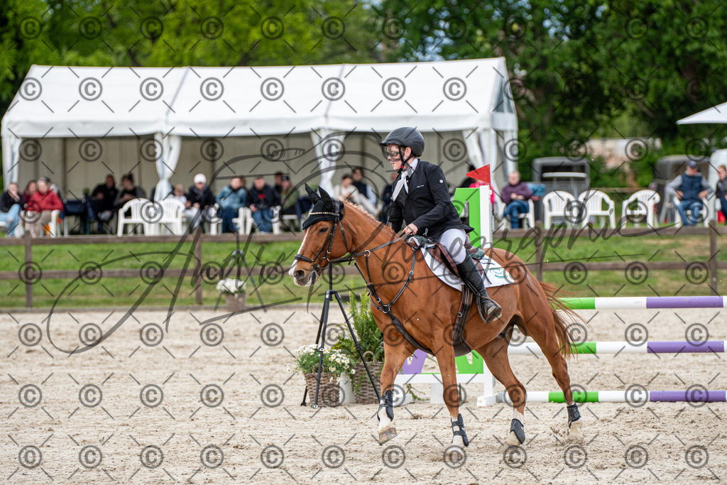 KPT_7332 | andre_photographic