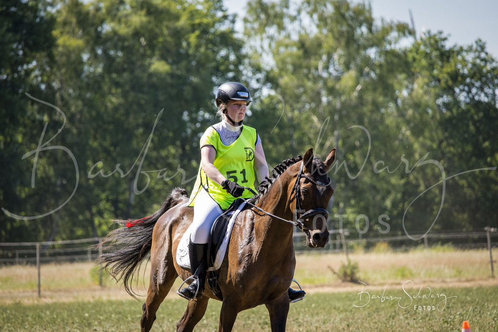 CJP_2026-06-26_167 | Stimmungsvolle Fotografie von Pferden, fotografische Begleitung von Veranstaltungen, Golfturnieren und Distanzritten - Realisiert mit Pictrs.com