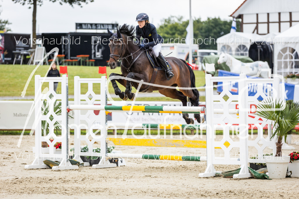 BHO-2PhSpr-M-228 | MomenTaufnahmen Pferdesportfotos