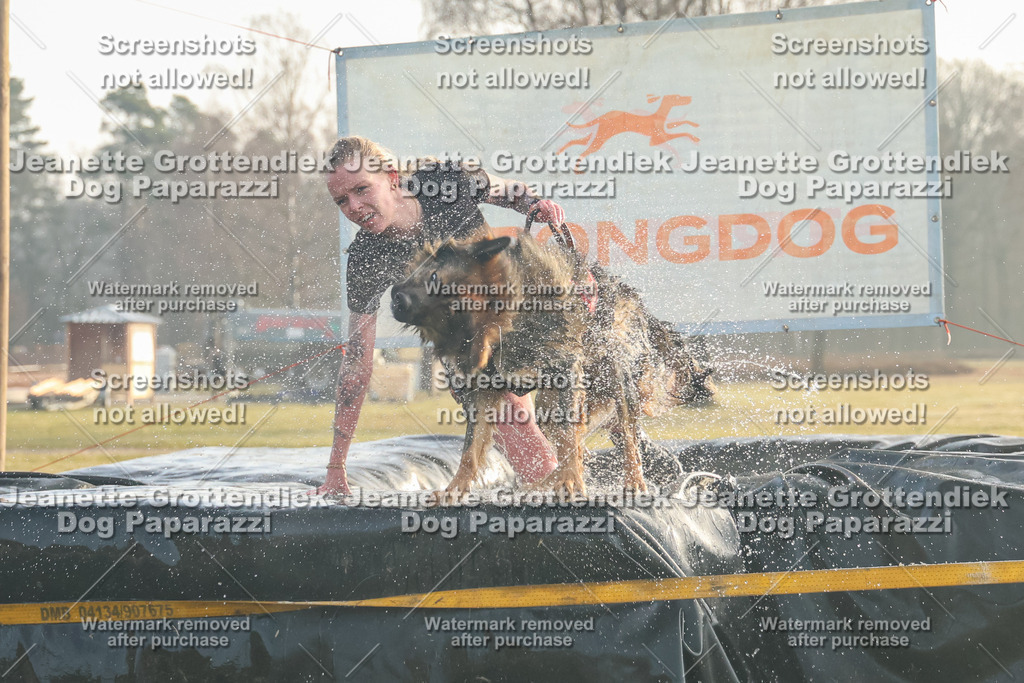 Dog Paparazzi - SD North 0326 Sa8-830-21 | Dog Paparazzi Jeanette Grottendiek Fotografie & Videografie - Realisiert mit Pictrs.com