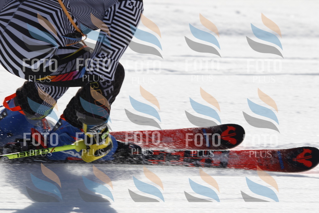 _U3G8973 | holidayphoto