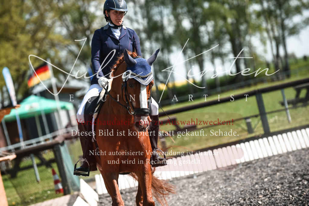 DSC_8853 | Pferde- und Turnierfotografie in Westsachsen. Pferdeportraits, Auftragszeichnungen und intuitive Kunst.