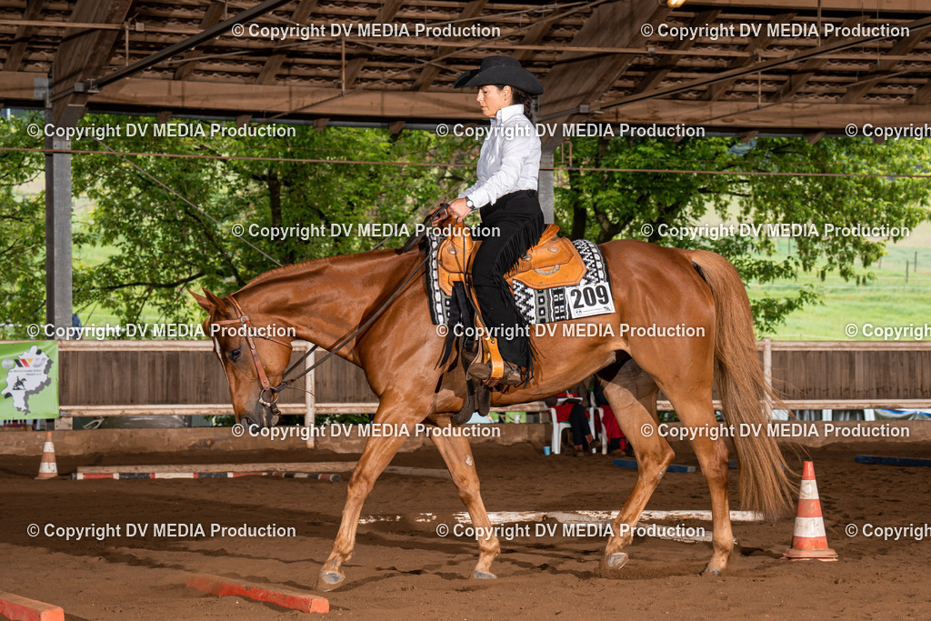 Erbach Tag 3-322 | dv-media-shop - Realisiert mit Pictrs.com