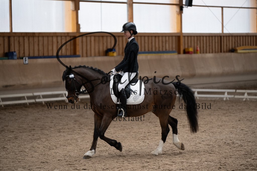 A7V09673 | Pferdefotograf